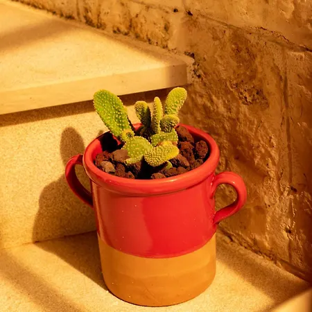 Prázdninový dům Masseria Trulli Bruni *