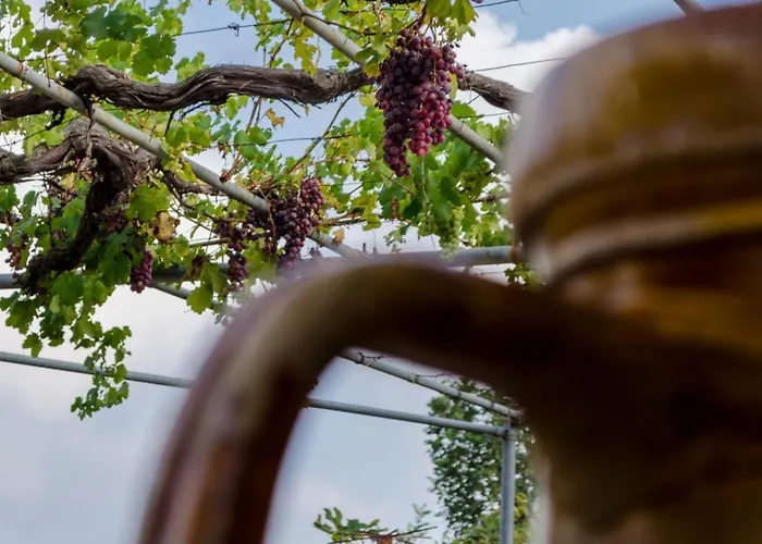Masseria Trulli Bruni Holiday home