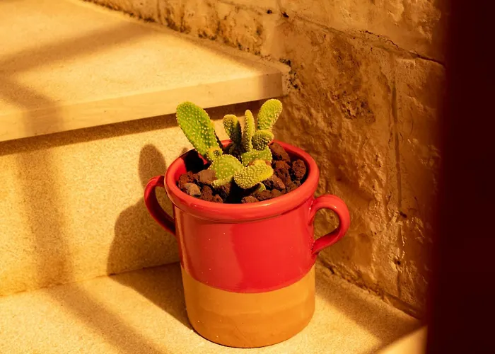 Vakantiehuis Masseria Trulli Bruni *